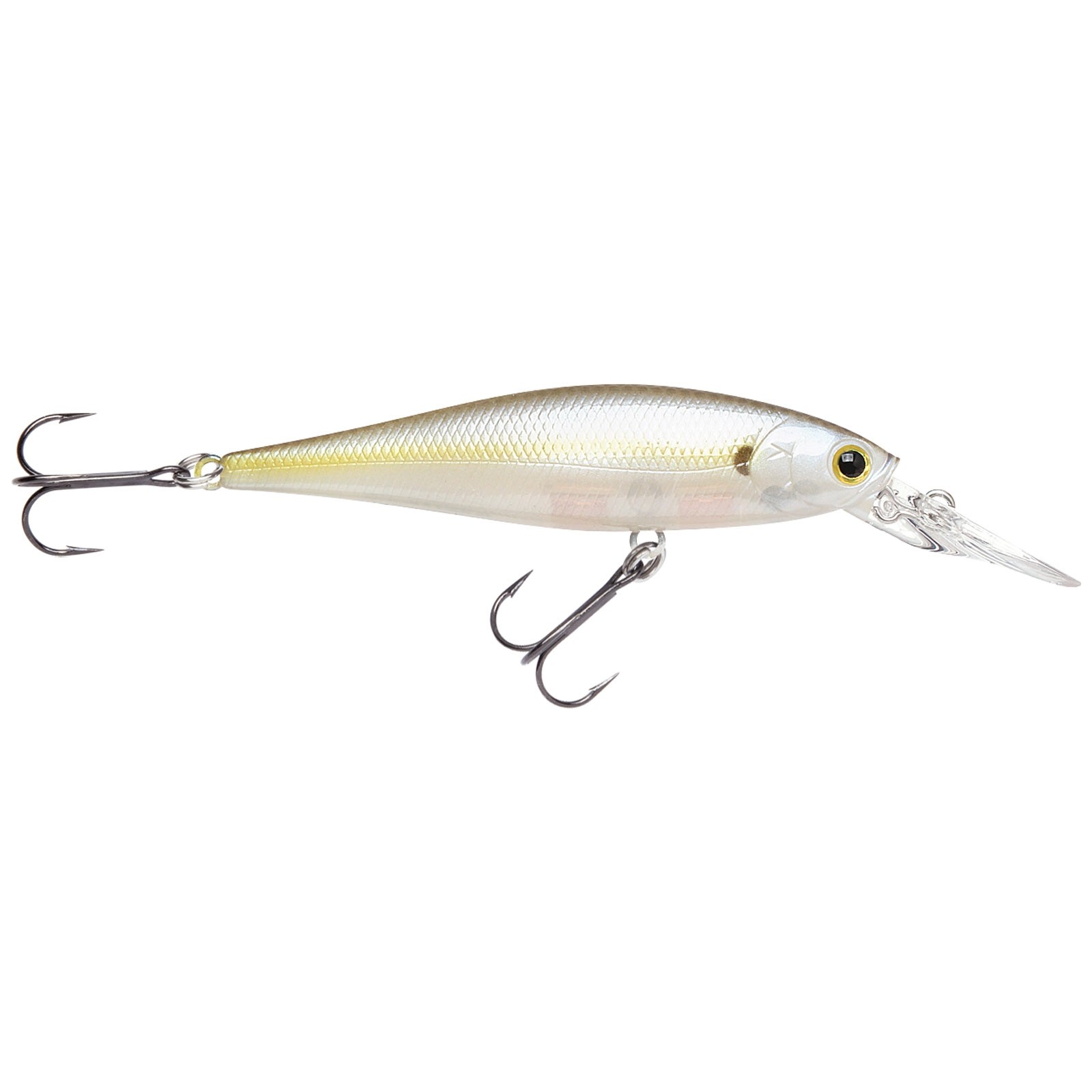 Chartreuse Shad