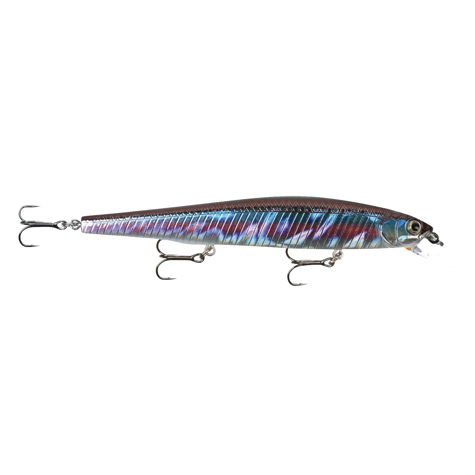 Metal Rainbow Trout