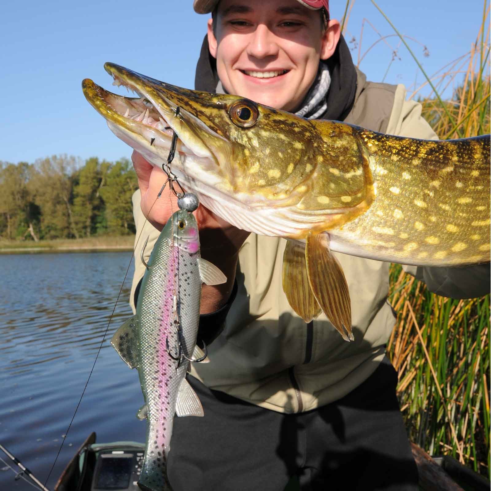 Jackson The Trout Fangbild 2