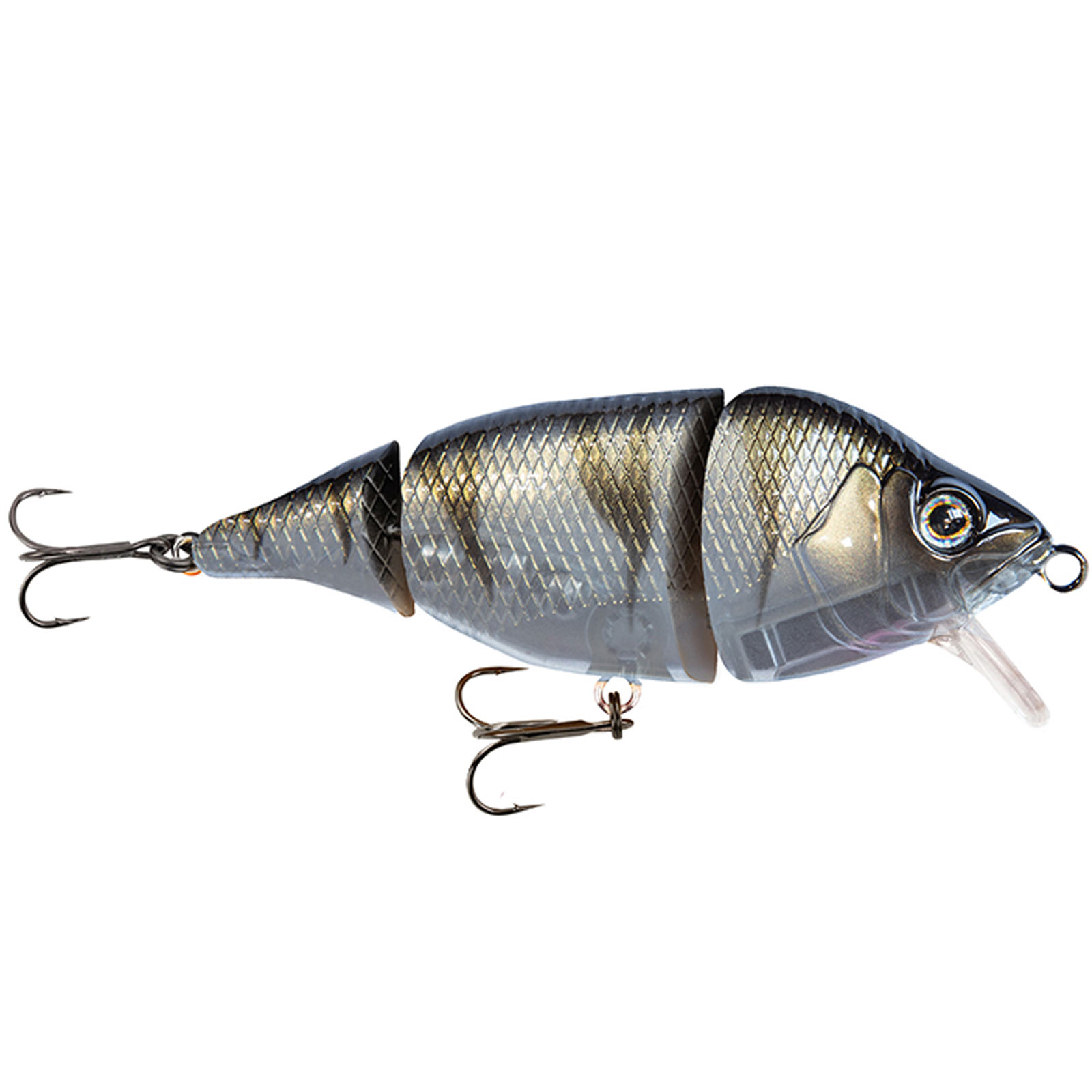 UV Striped Shiner