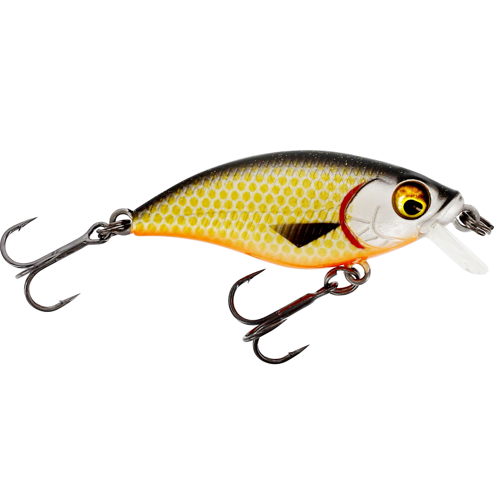 Westin BuzzBite SR Crankbait Low Floating Official Roach Wobbler