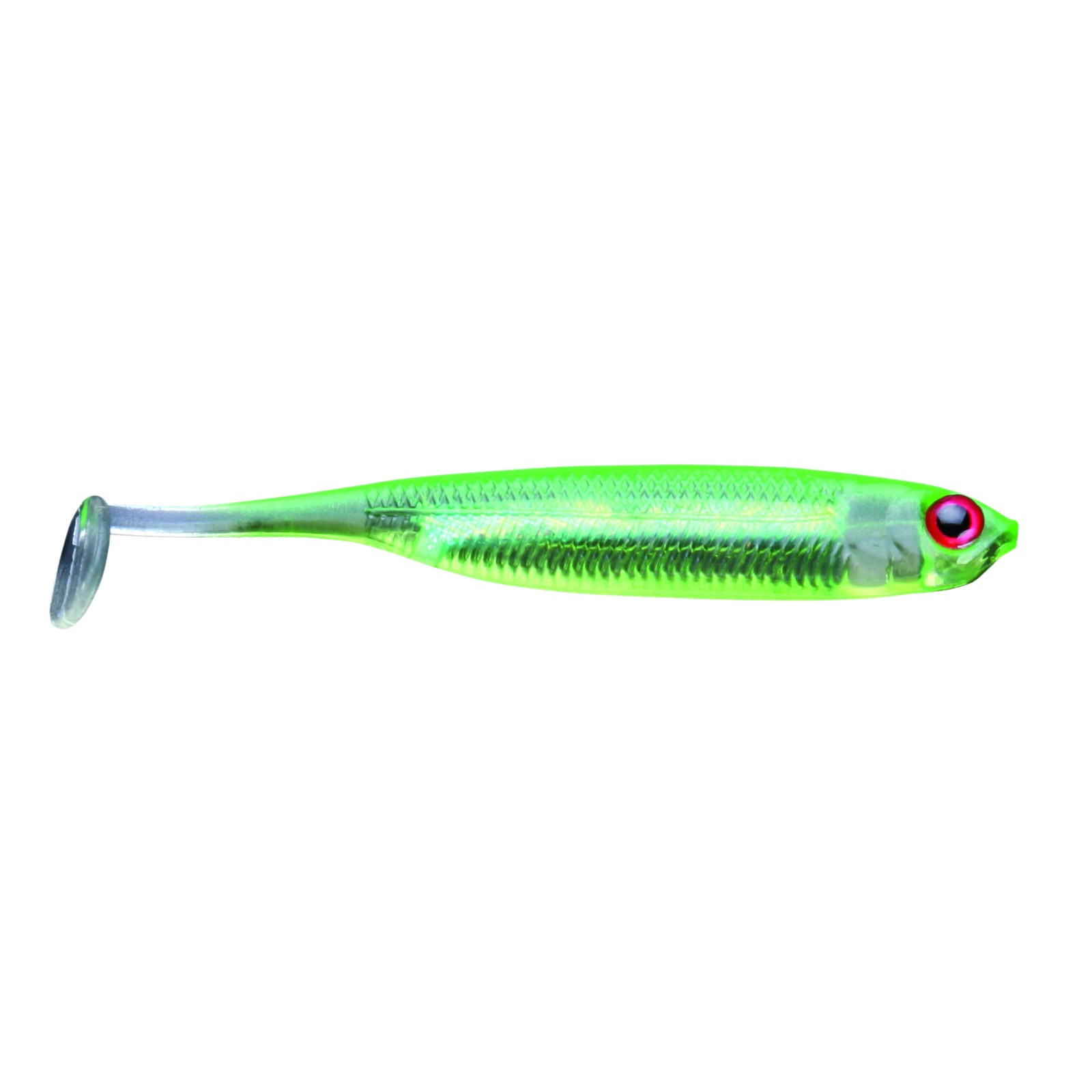 Green Shad