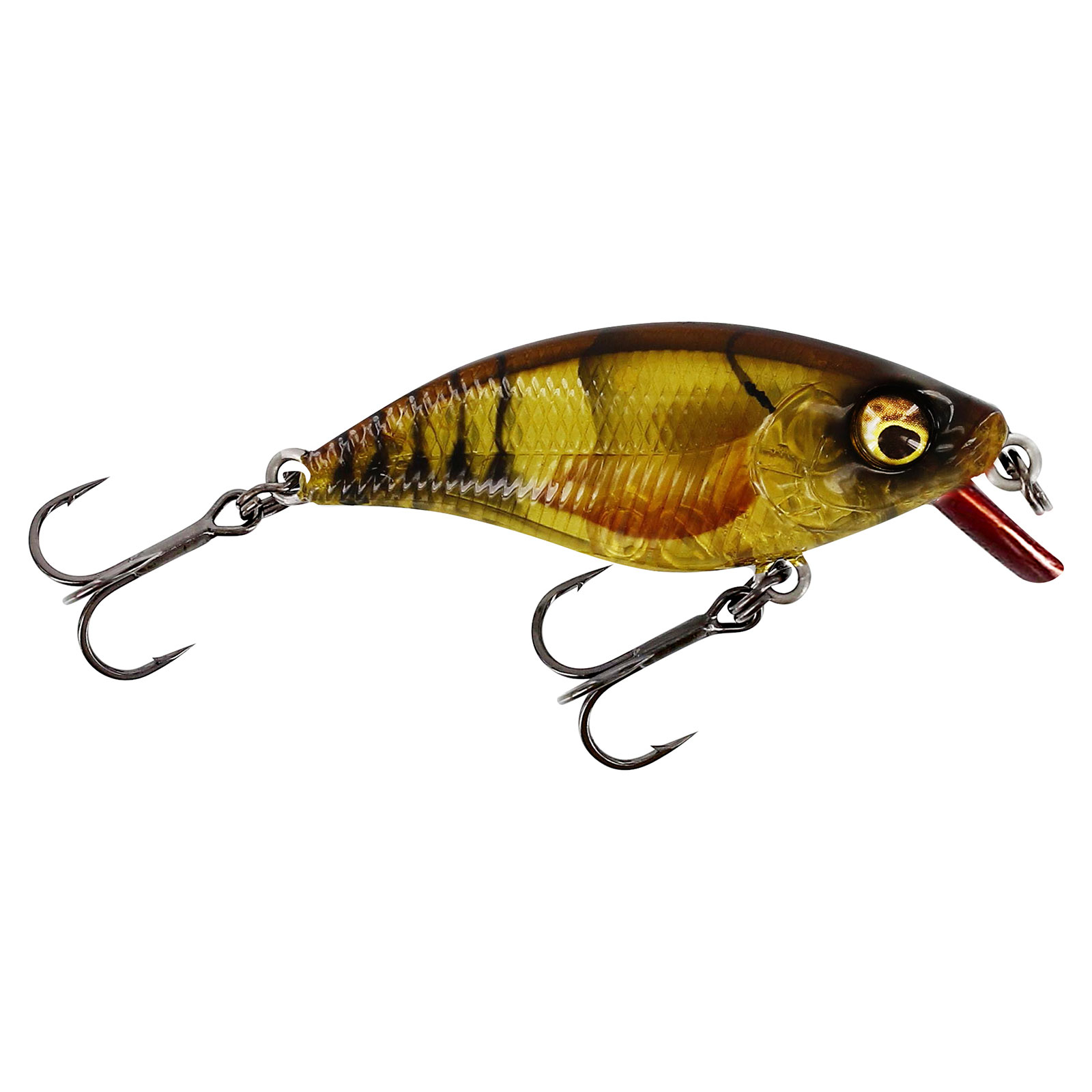 Clear Brown Craw