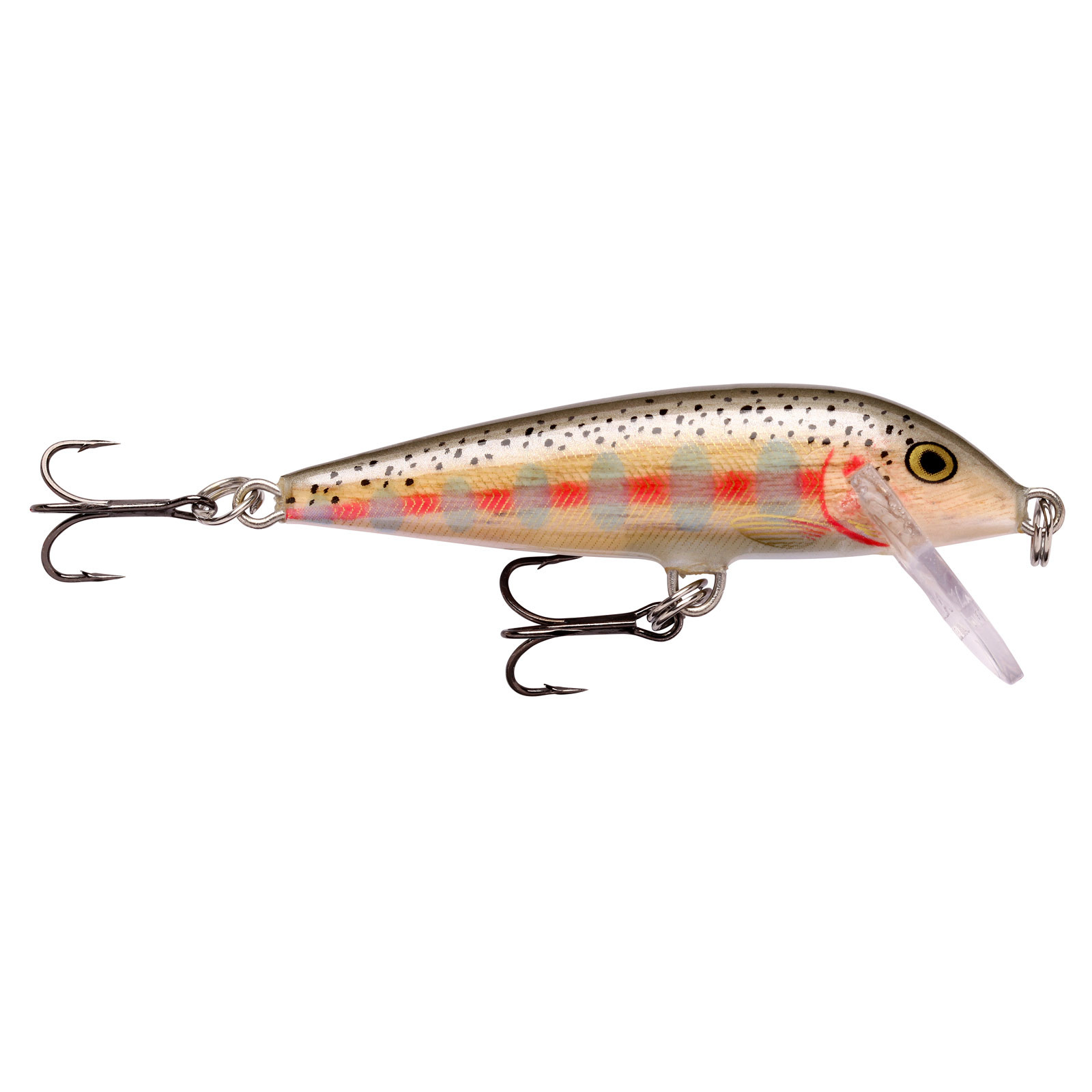 Balsa Juvenile Rainbow Trout